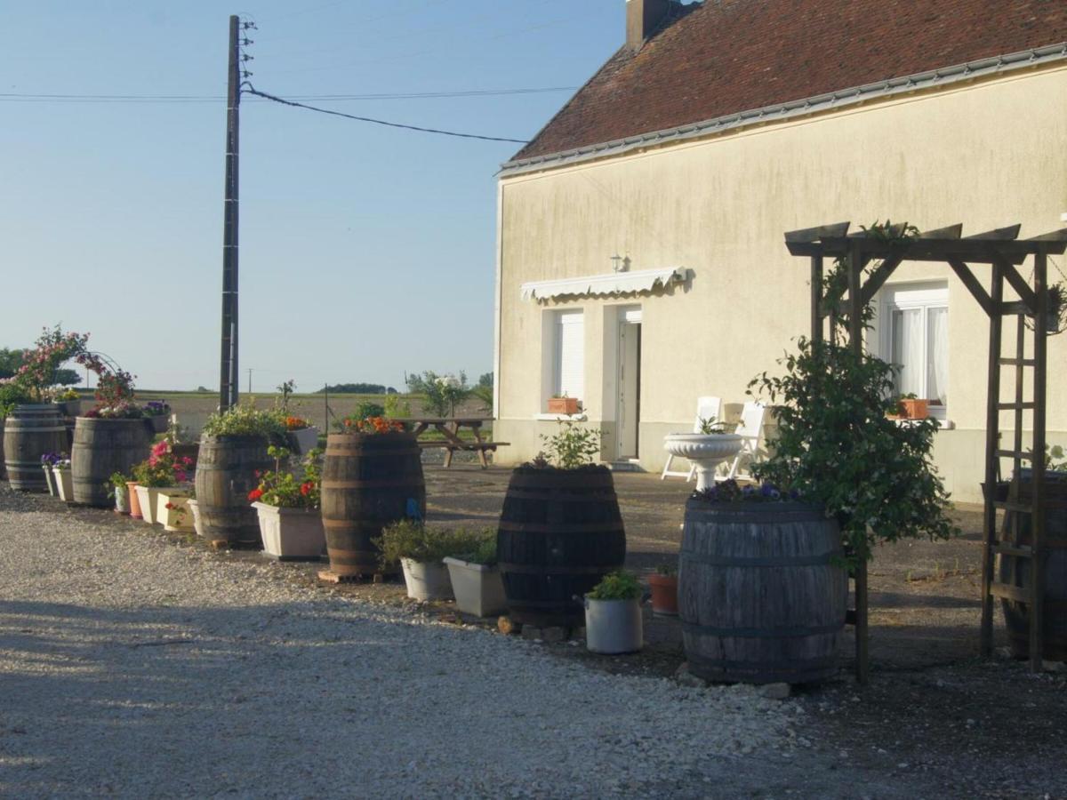 Gite Familial En Touraine Avec Jardin, Proche Chateaux De Chenonceau Et Amboise, Velos Disponibles - Fr-1-381-121 Villa Chedigny Exterior photo