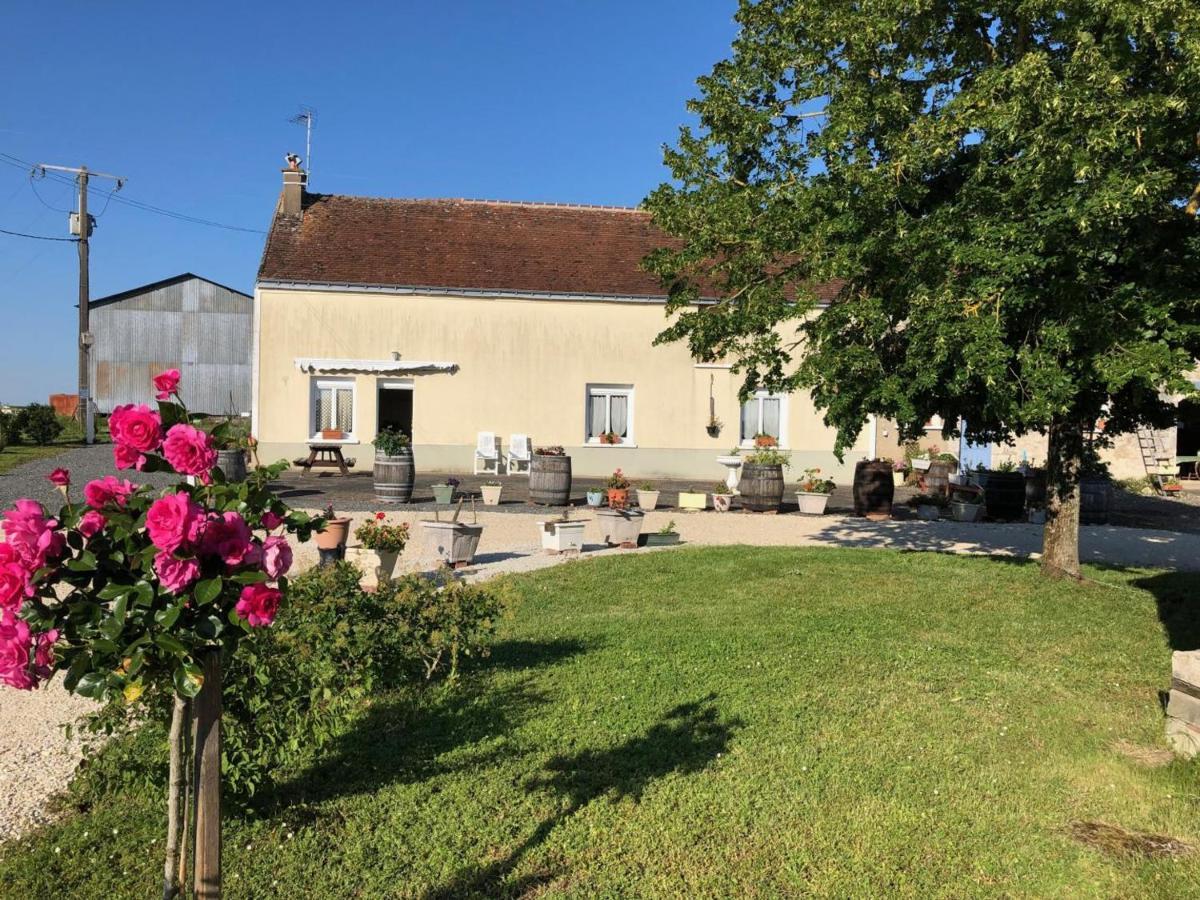 Gite Familial En Touraine Avec Jardin, Proche Chateaux De Chenonceau Et Amboise, Velos Disponibles - Fr-1-381-121 Villa Chedigny Exterior photo